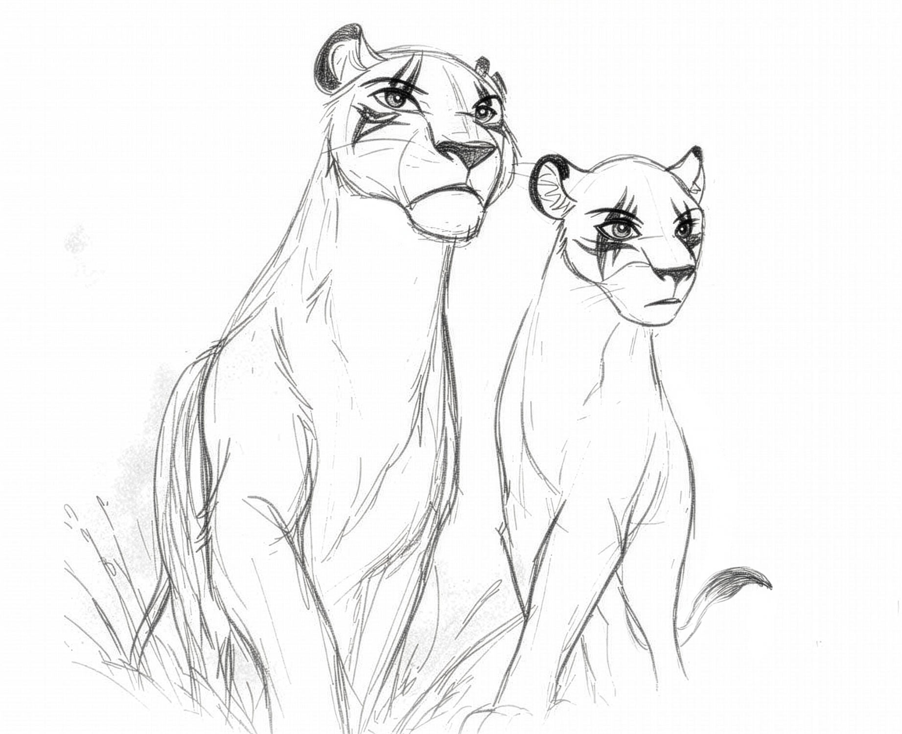 Ашаи-Китрах: наставница и ученица